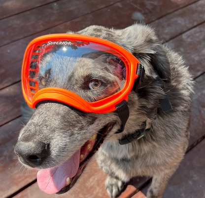 DOGGLÉS
